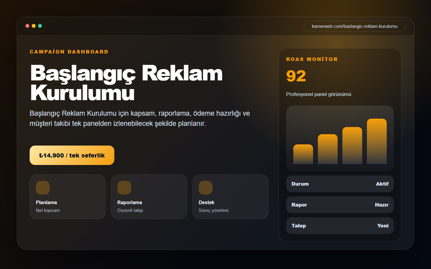 Başlangıç Reklam Kurulumu demo website screenshot