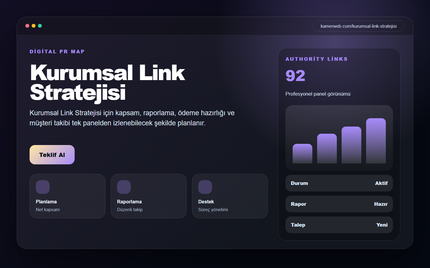 Kurumsal Link Stratejisi demo site ekran görüntüsü