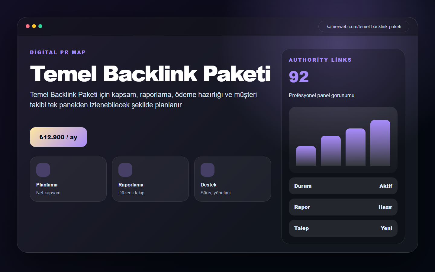 Temel Backlink Paketi demo site ekran görüntüsü