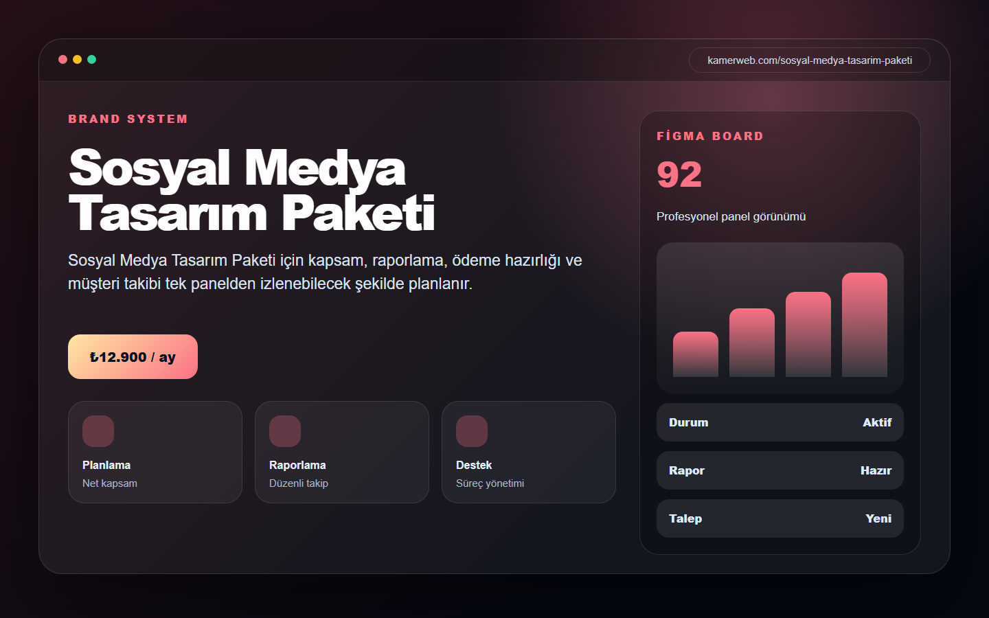 Sosyal Medya Tasarım Paketi demo site ekran görüntüsü