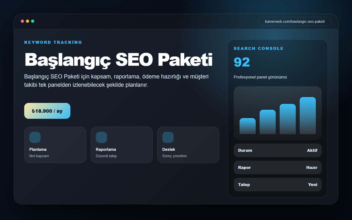 Başlangıç SEO Paketi demo website screenshot