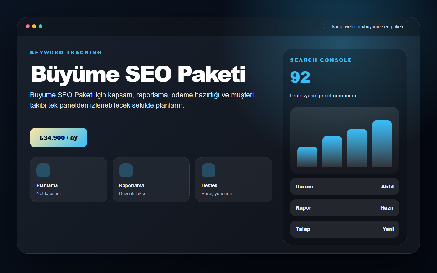 SEO Paketleri görsel paneli