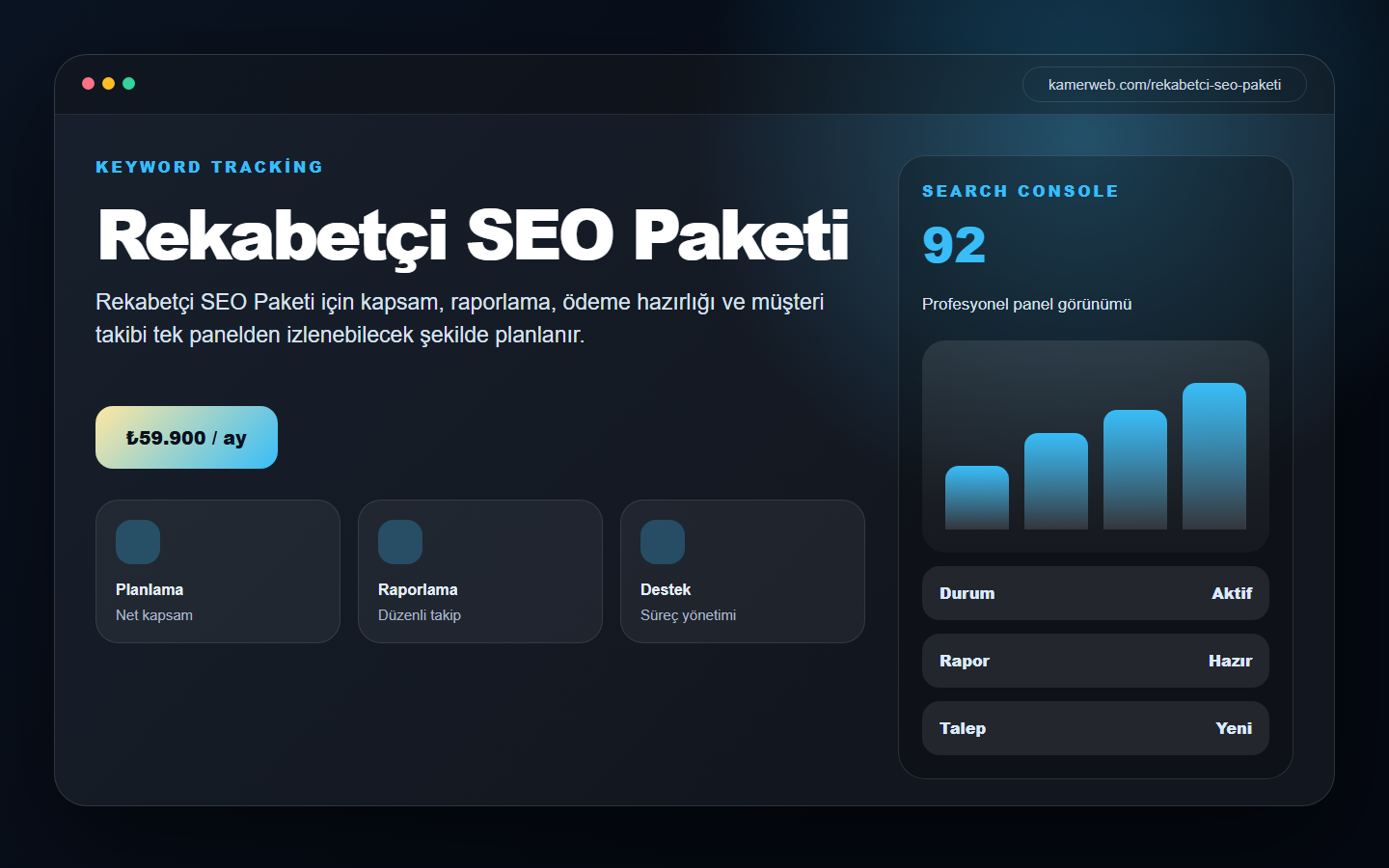 Rekabetçi SEO Paketi demo website screenshot