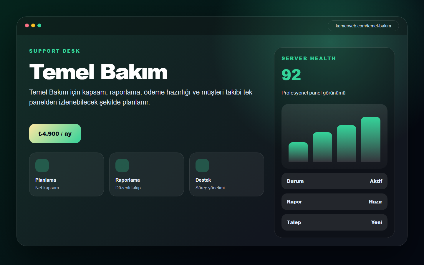 Temel Bakım demo website screenshot
