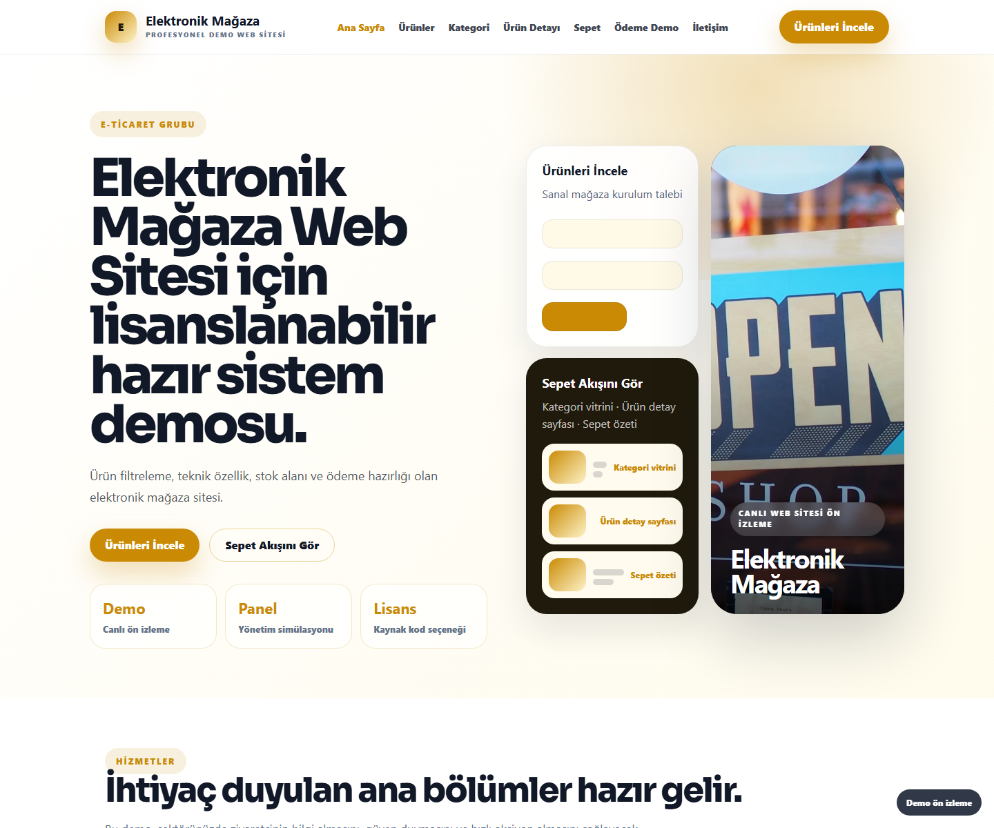 Elektronik Mağaza Web Sitesi ödeme ürün özeti görseli