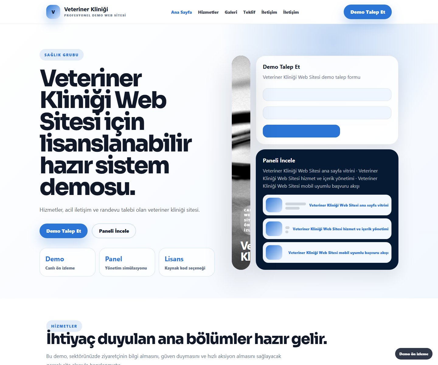 Veteriner Kliniği Web Sitesi ödeme ürün özeti görseli